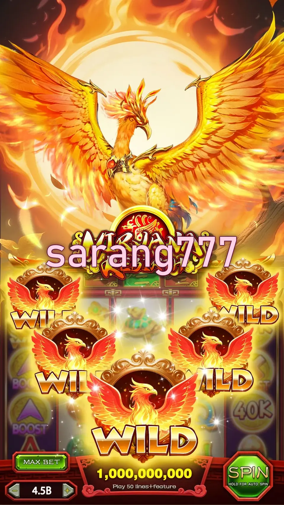 sarang777 Masuk